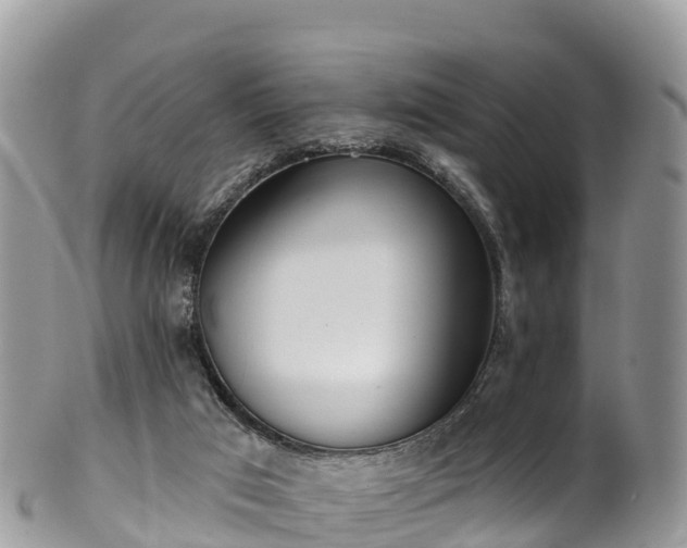 X0000102290017200808011523