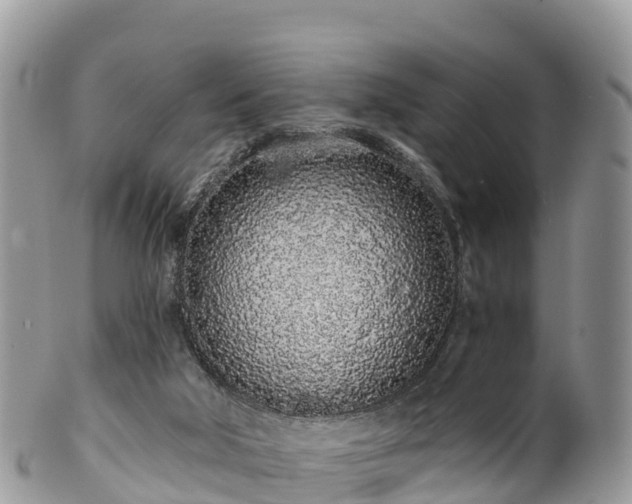 X0000102290018200808011523