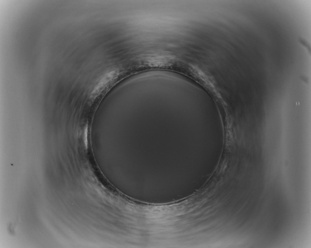 X0000102290019200808011523