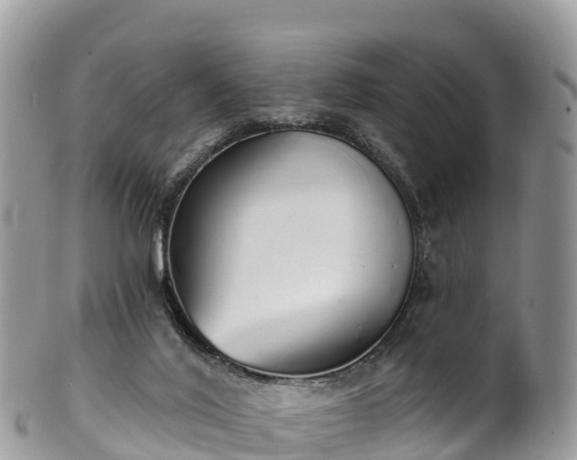 X0000102290020200808011523