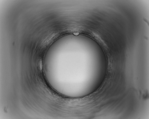 X0000102290021200808011523