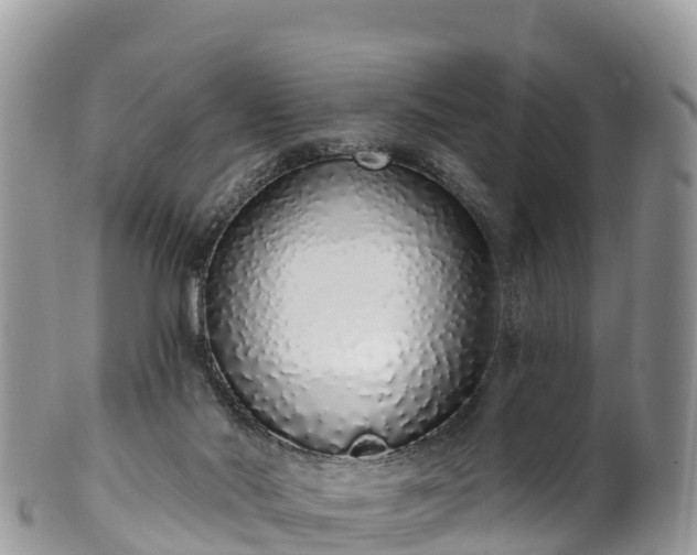 X0000102290022200808011523