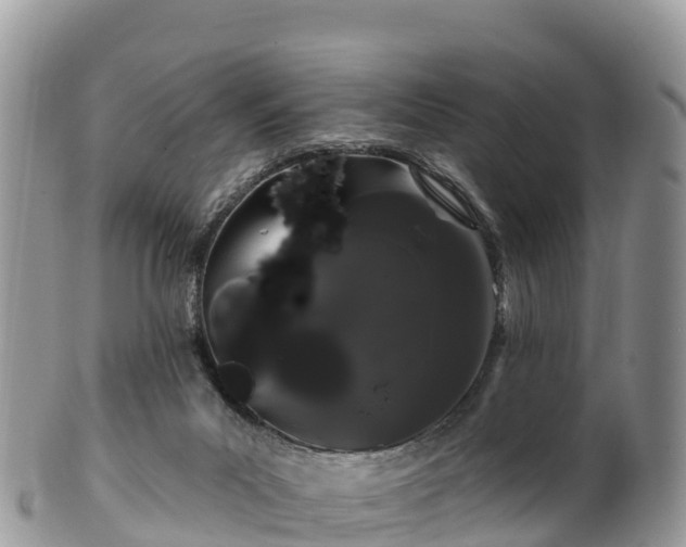 X0000102290023200808011523