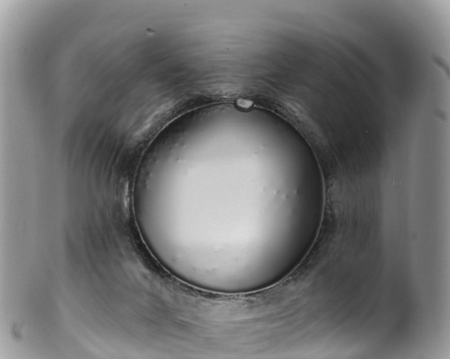 X0000102290024200808011523