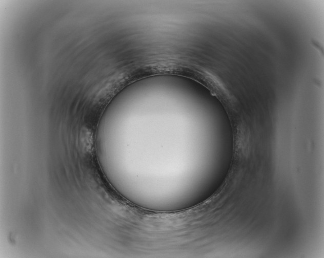 X0000102290025200808011523