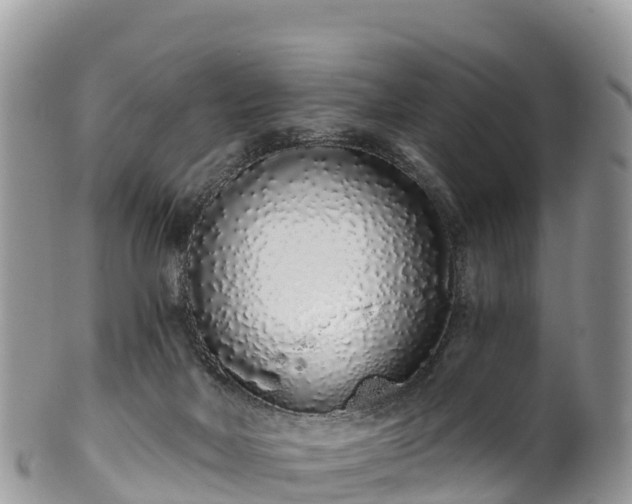 X0000102290026200808011523