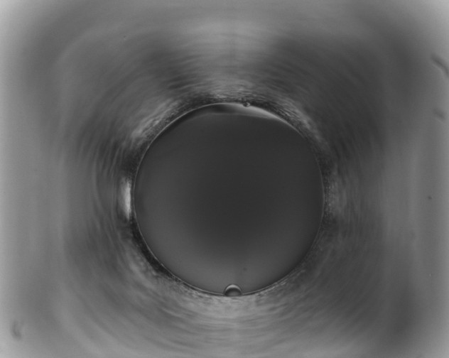 X0000102290027200808011523