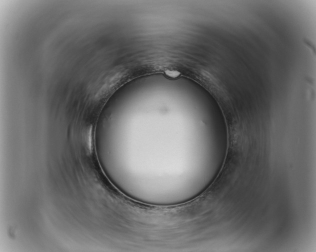 X0000102290028200808011523