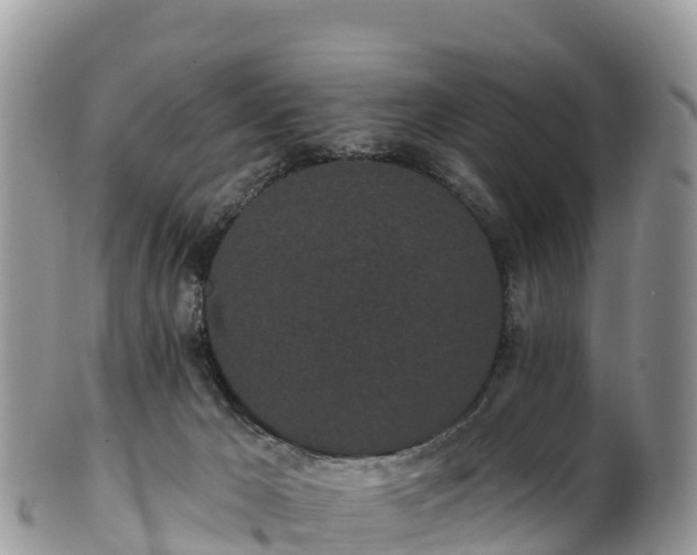 X0000102290029200808011523