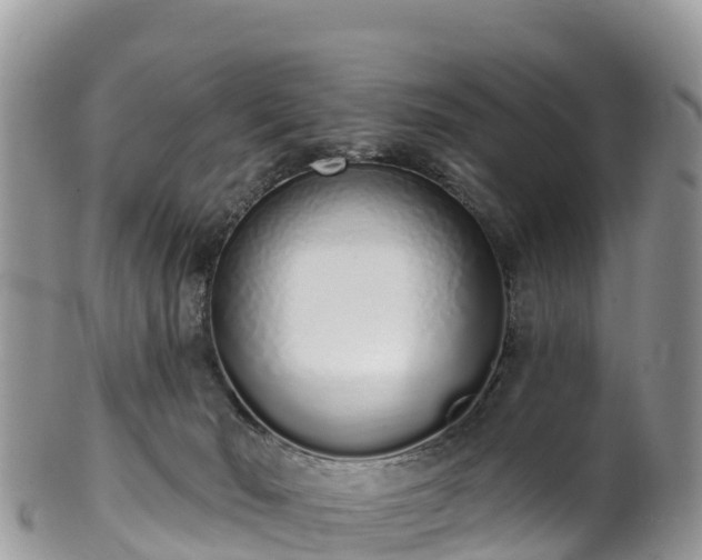 X0000102290030200808011523