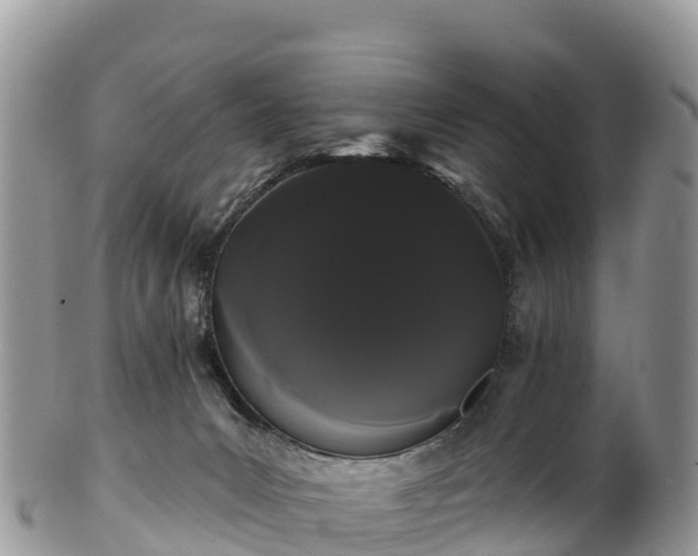 X0000102290031200808011523