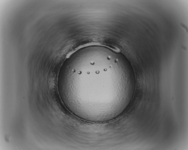 X0000102290032200808011523