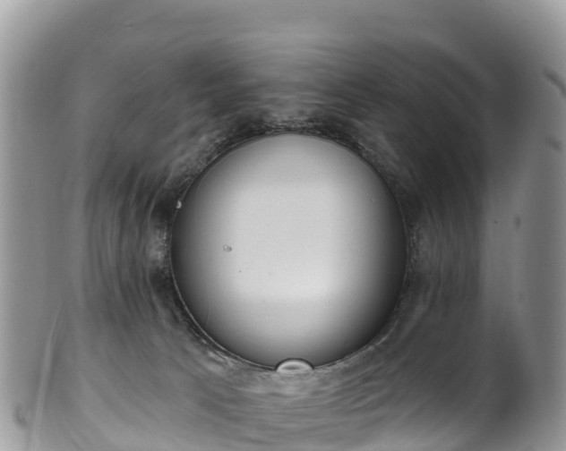 X0000102290033200808011523