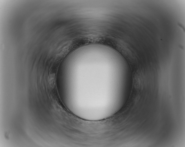 X0000102290034200808011523