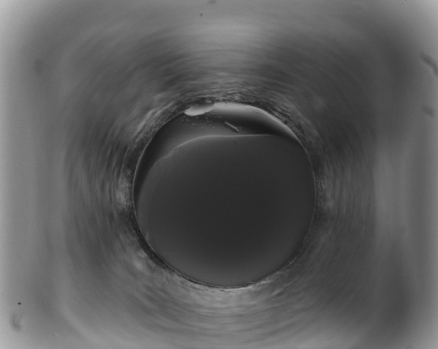 X0000102290035200808011523