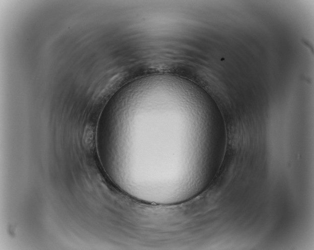 X0000102290036200808011523