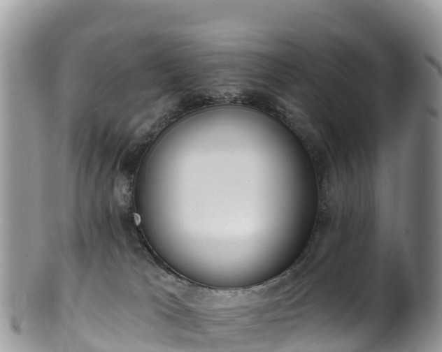 X0000102290037200808011523