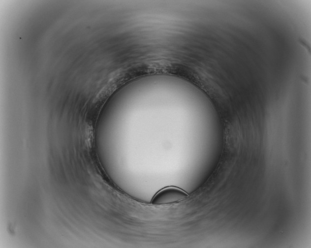 X0000102290038200808011523