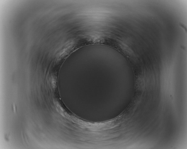 X0000102290039200808011522