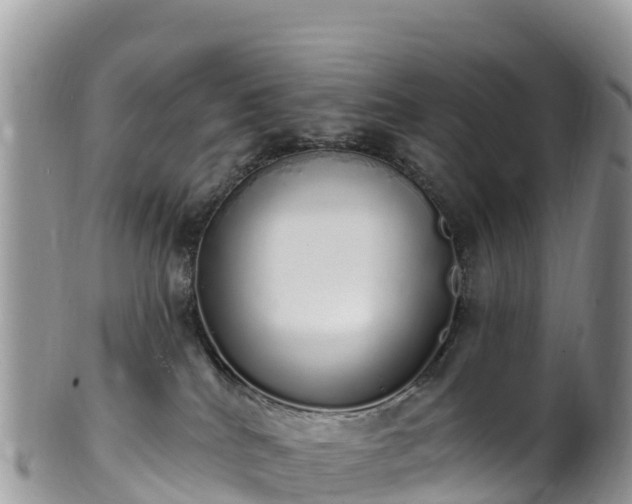 X0000102290040200808011522