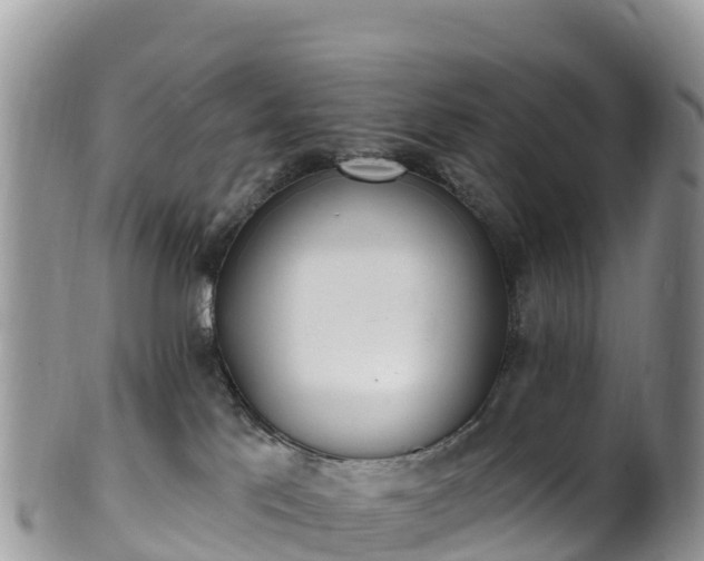 X0000102290041200808011522