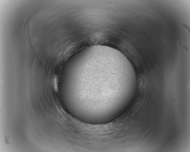 X0000102290042200808011522