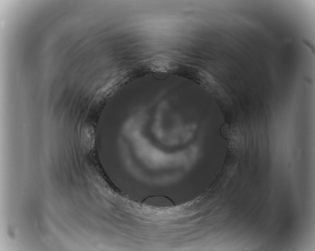 X0000102290043200808011522