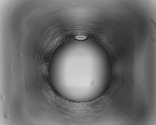 X0000102290044200808011522