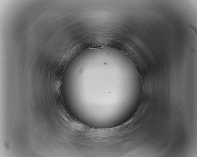 X0000102290045200808011522