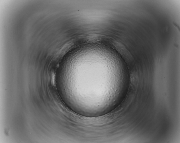 X0000102290046200808011522