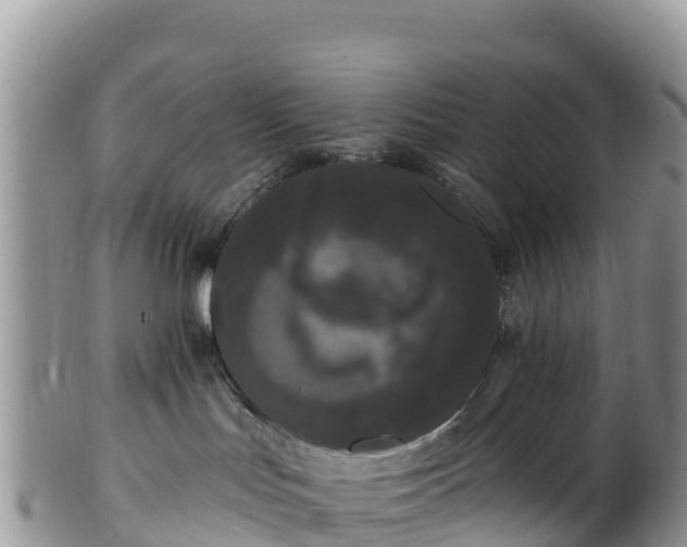 X0000102290047200808011522