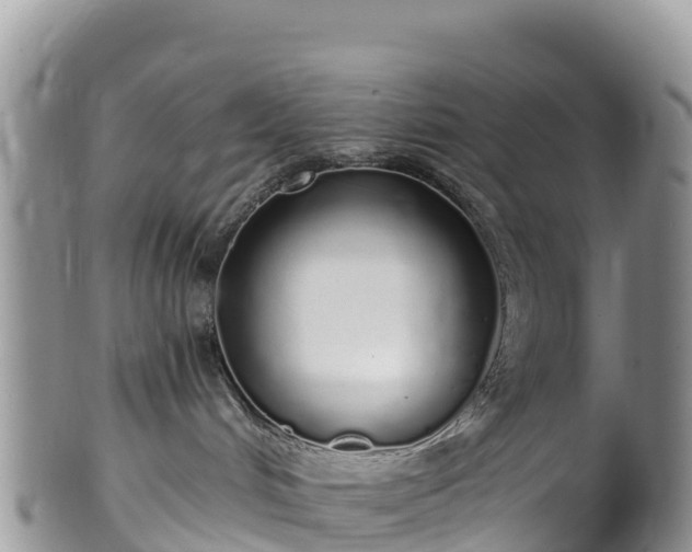 X0000102290048200808011522