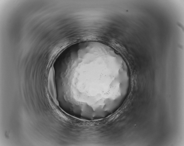 X0000102290049200808011522