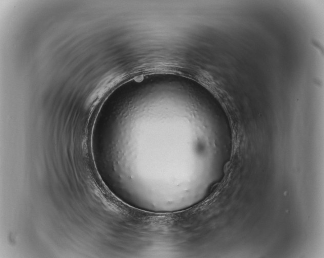 X0000102290050200808011522