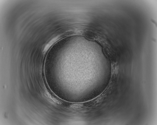 X0000102290051200808011522