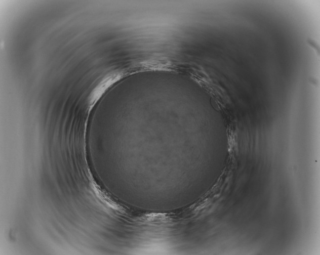 X0000102290052200808011522