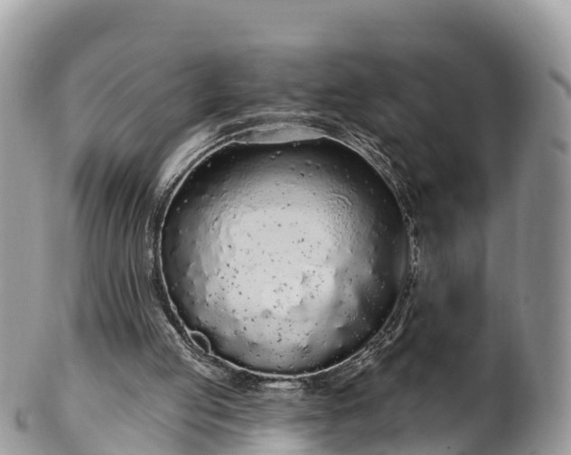 X0000102290053200808011522