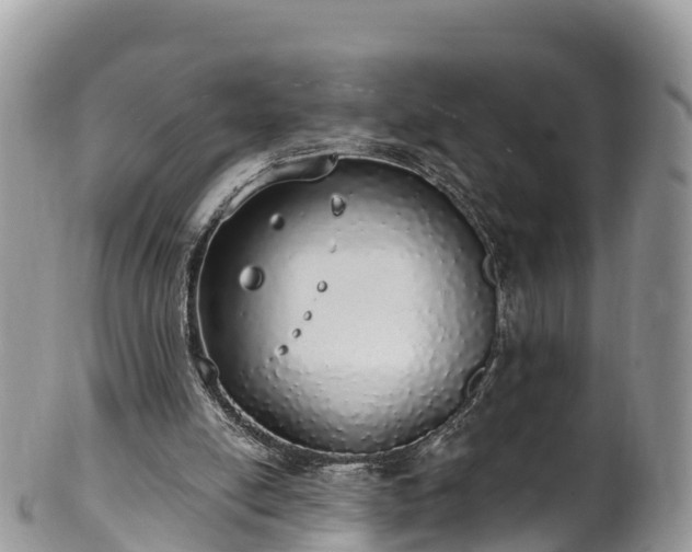 X0000102290054200808011522