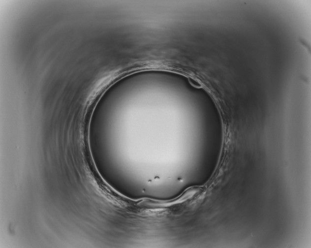 X0000102290055200808011522