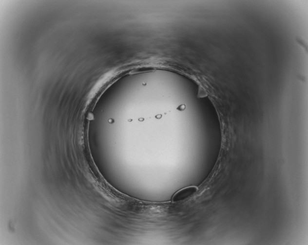 X0000102290056200808011522