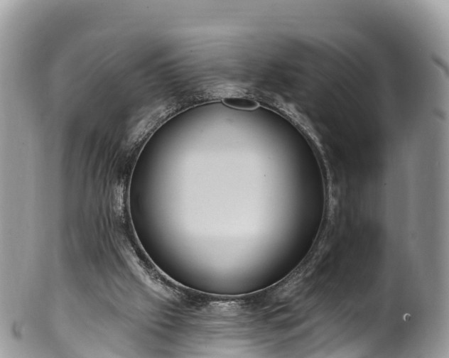 X0000102290057200808011522