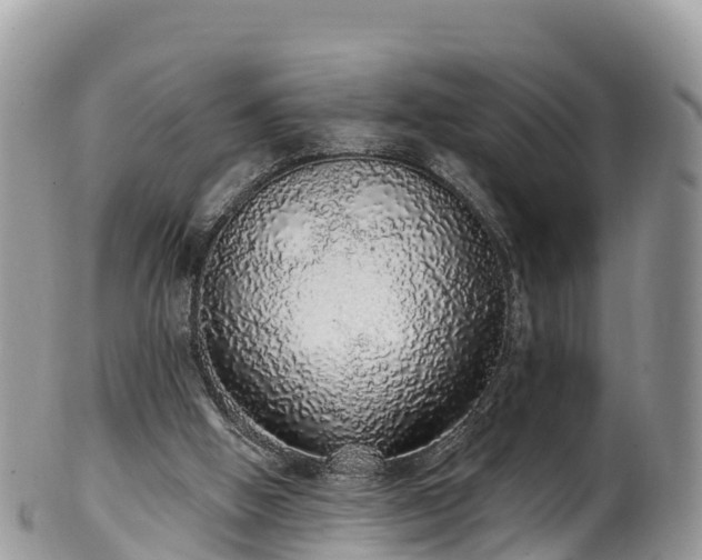 X0000102290058200808011522