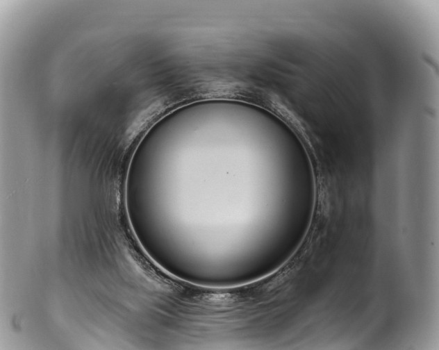 X0000102290059200808011522