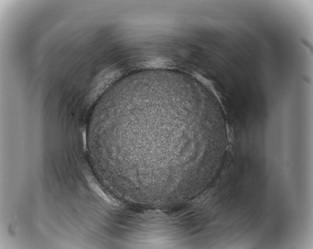 X0000102290061200808011522