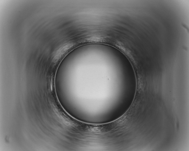 X0000102290062200808011522