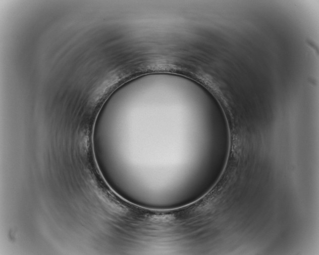 X0000102290063200808011522