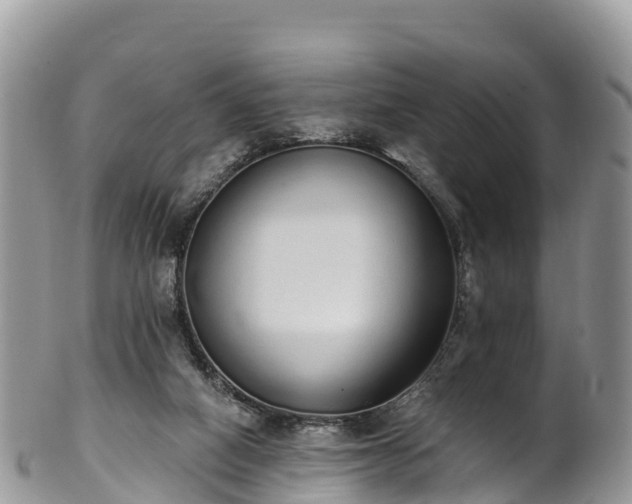 X0000102290066200808011522