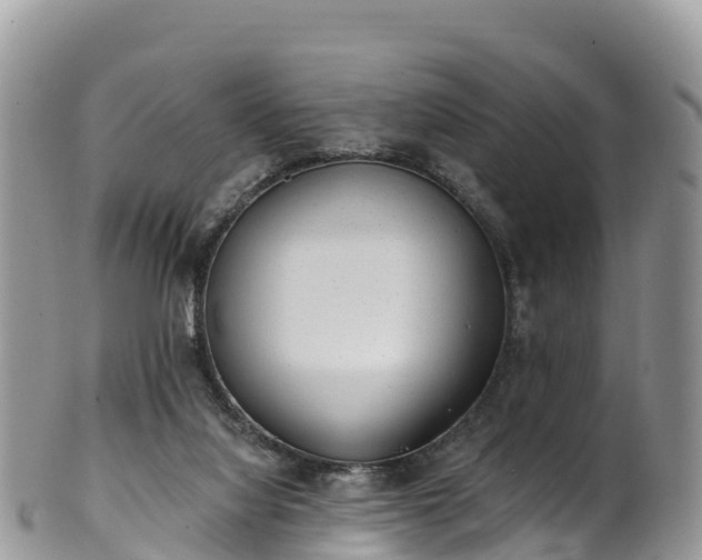 X0000102290068200808011522