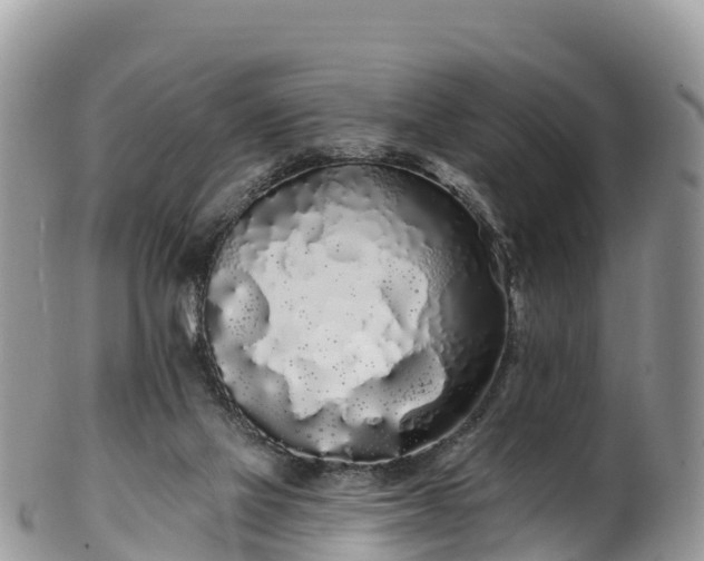 X0000102290069200808011522