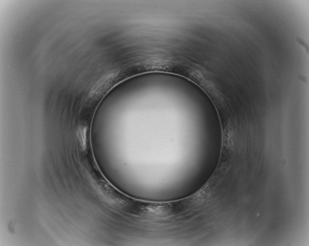 X0000102290070200808011522